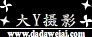 ��Y��Ӱ