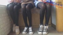 237�š������������������ӵ������ϵ�У��ص㿴��ף�