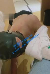 360�š���S������Ű�����������������